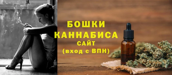 гашик Горнозаводск