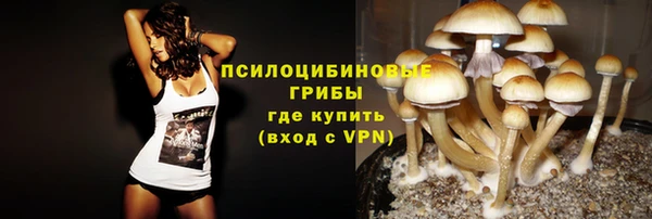 стаф Горняк