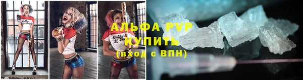 стаф Горняк