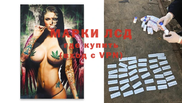 гашик Горнозаводск