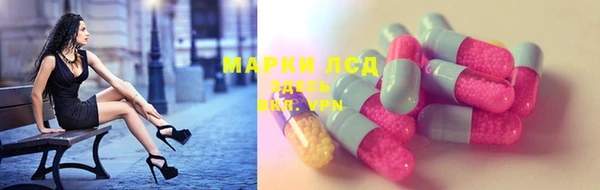 стаф Горняк