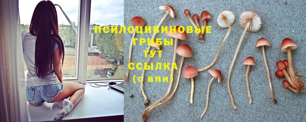 гашик Горнозаводск