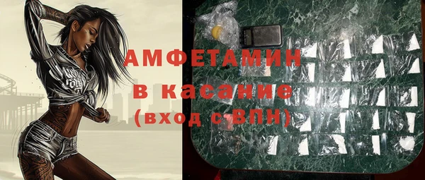 стаф Горняк