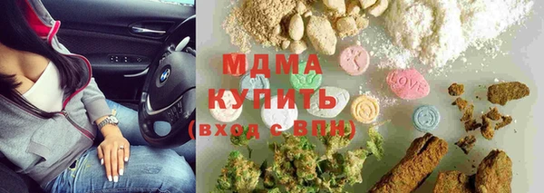 стаф Горняк