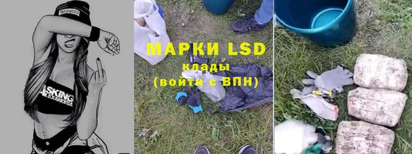 стаф Горняк