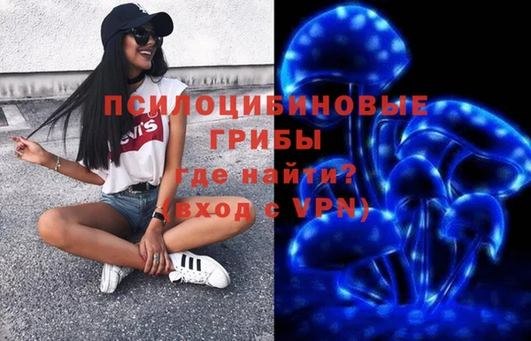 стаф Горняк