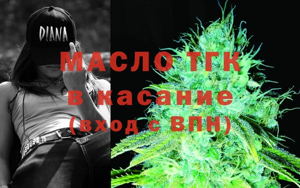 стаф Горняк