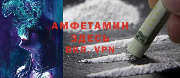 стаф Горняк