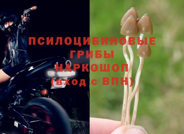 a pvp Горно-Алтайск