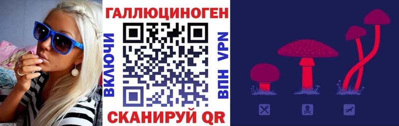 Псилоцибиновые грибы мицелий купить Зубцов